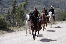 Peru-Arequipa-Colca Canyon Explorer Ride on Peruvian Pasos